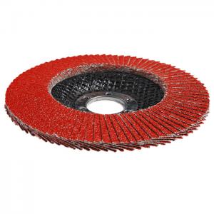 Ceramics Flap discs Ceramics Flap discs